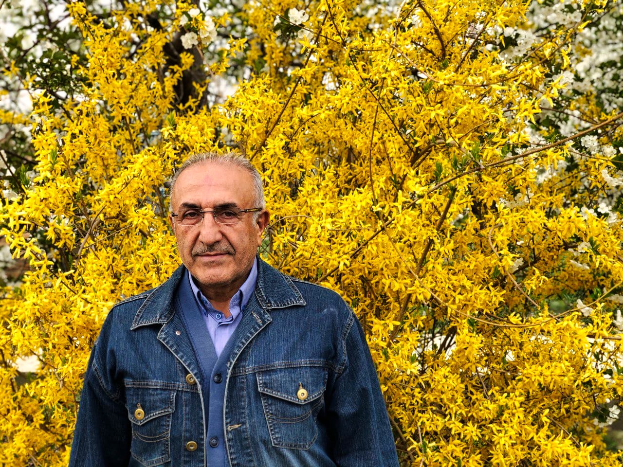 نهالستان وحیدافشار